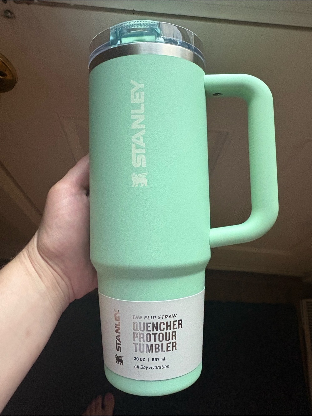 Stanley Mint Green Quencher ProTour Tumbler with Handle